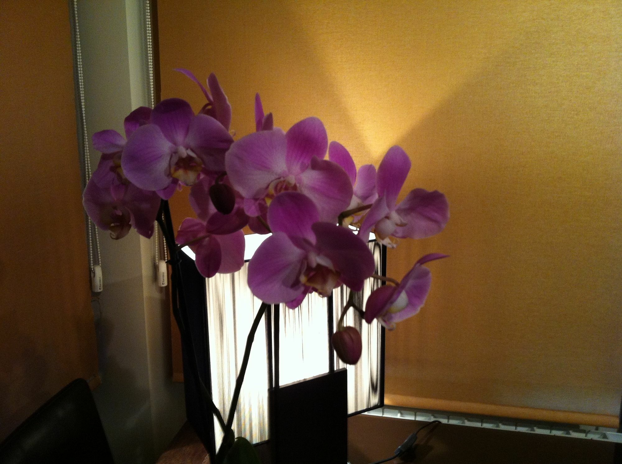 Hosteria Casa Vallejo ซาลามังกา ภายนอก รูปภาพ